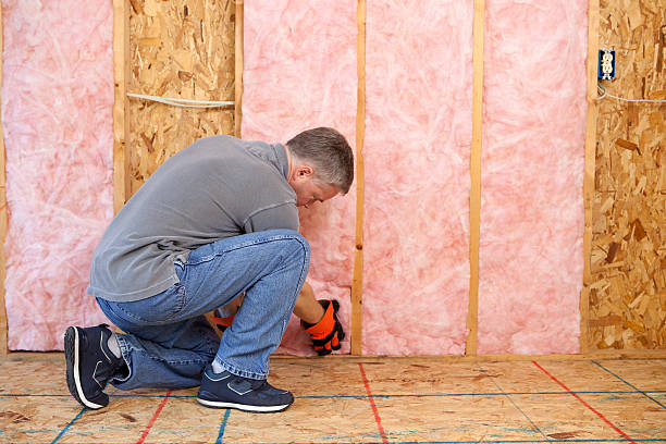 Types of Insulation We Offer in Cheswold, DE